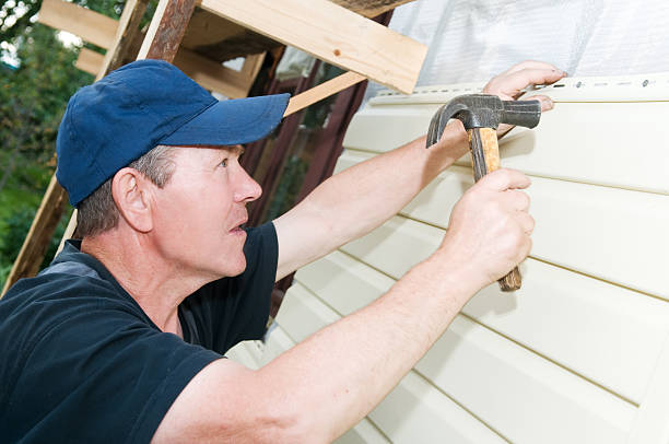 Best Siding Replacement  in Posen, IL